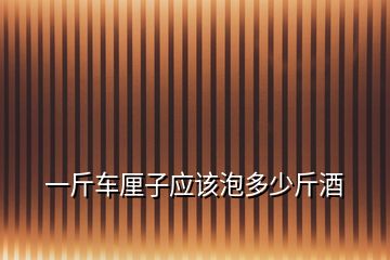 一斤车厘子应该泡多少斤酒