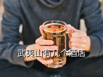 武夷山有几个酒店