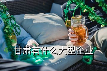 甘肃有什么大型企业