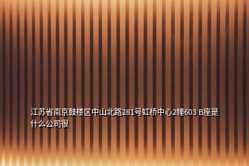 江苏省南京鼓楼区中山北路281号虹桥中心2幢603 B座是什么公司很