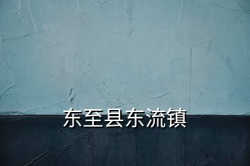 东至县东流镇