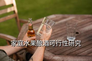 家庭水果酿酒可行性研究