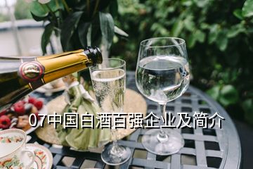 07中国白酒百强企业及简介