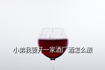 小弟我要开一家酒厂酒怎么酿