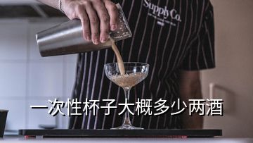 一次性杯子大概多少两酒