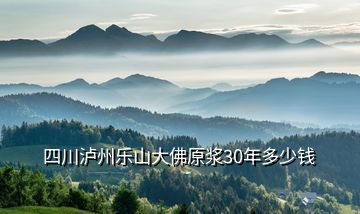 四川泸州乐山大佛原浆30年多少钱