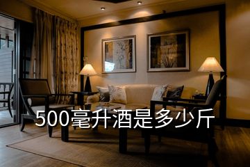 500毫升酒是多少斤