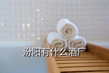 汾阳有什么酒厂