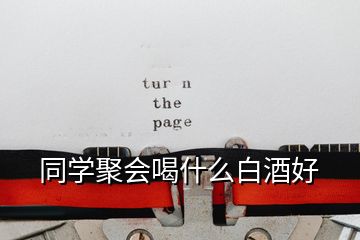 同学聚会喝什么白酒好