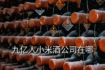 九亿人小米酒公司在哪