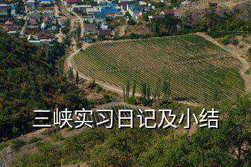 三峡实习日记及小结