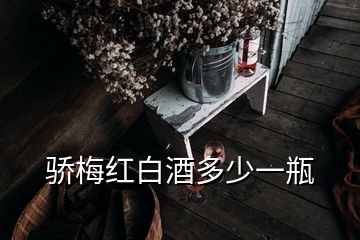 骄梅红白酒多少一瓶