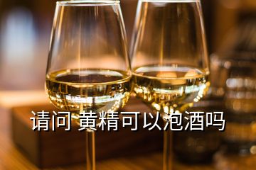 请问 黄精可以泡酒吗