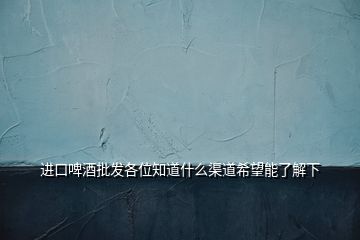 进口啤酒批发各位知道什么渠道希望能了解下