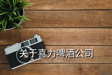 关于喜力啤酒公司