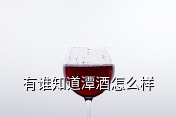 有谁知道潭酒怎么样