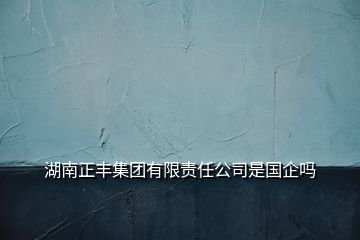 湖南正丰集团有限责任公司是国企吗