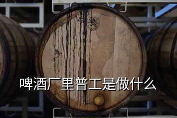 啤酒厂里普工是做什么