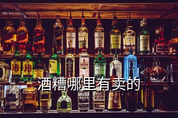 酒糟哪里有卖的