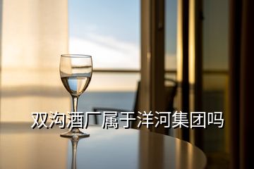 双沟酒厂属于洋河集团吗