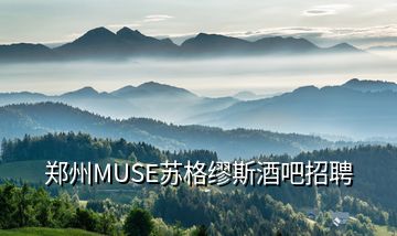 郑州MUSE苏格缪斯酒吧招聘