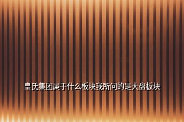 皇氏集团属于什么板块我所问的是大盘板块