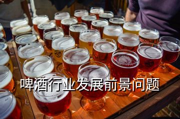 啤酒行业发展前景问题