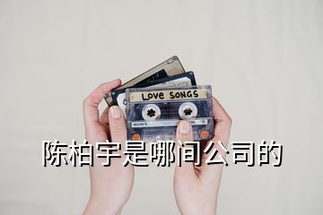 陈柏宇是哪间公司的