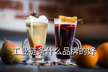 工业链条什么品牌的好