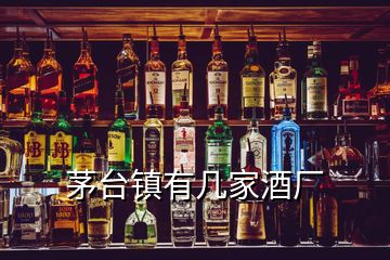 茅台镇有几家酒厂