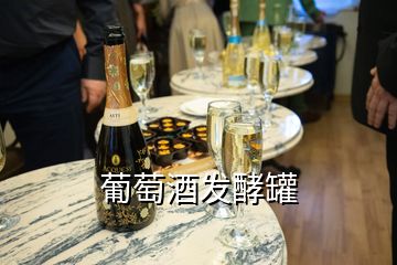 葡萄酒发酵罐