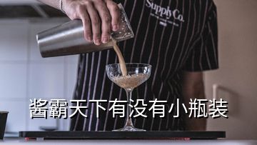 酱霸天下有没有小瓶装