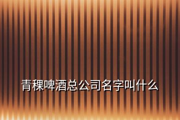 青稞啤酒总公司名字叫什么