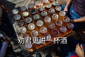 劝君更进一杯酒