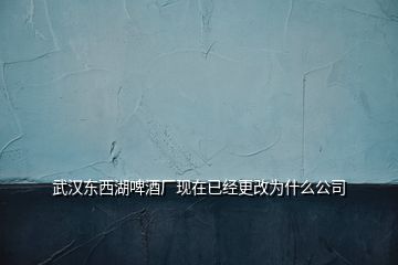 武汉东西湖啤酒厂现在已经更改为什么公司