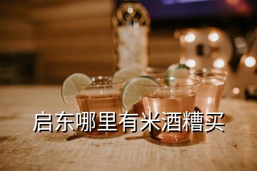 启东哪里有米酒糟买