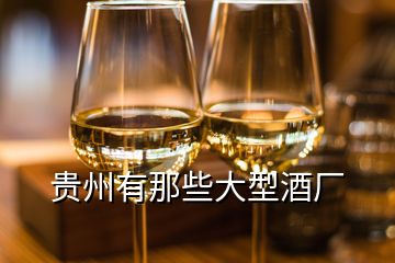 贵州有那些大型酒厂