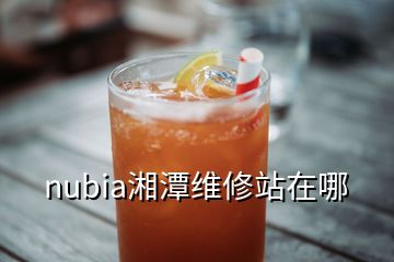 nubia湘潭维修站在哪