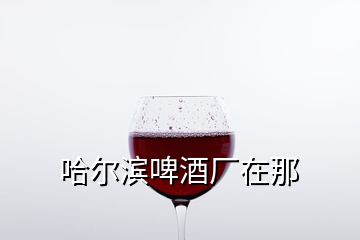 哈尔滨啤酒厂在那