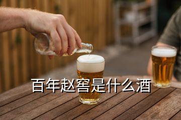 百年赵窖是什么酒