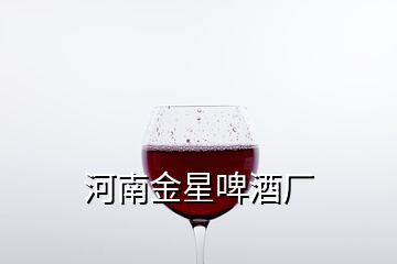 河南金星啤酒厂