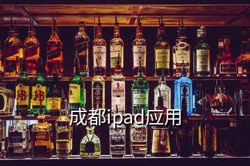 成都ipad应用