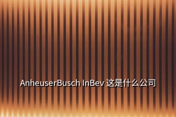 AnheuserBusch InBev 这是什么公司