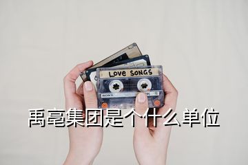 禹亳集团是个什么单位