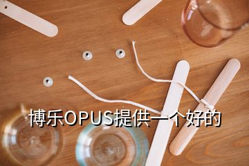 博乐OPUS提供一个好的