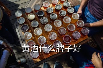 黄酒什么牌子好