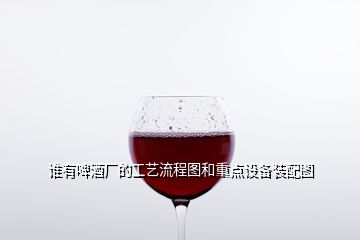 谁有啤酒厂的工艺流程图和重点设备装配图