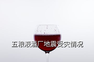 五粮液酒厂地震受灾情况