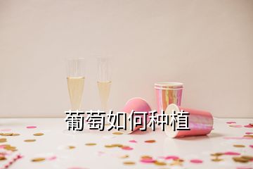 葡萄如何种植