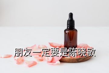 朋友一定要是陈晓敏